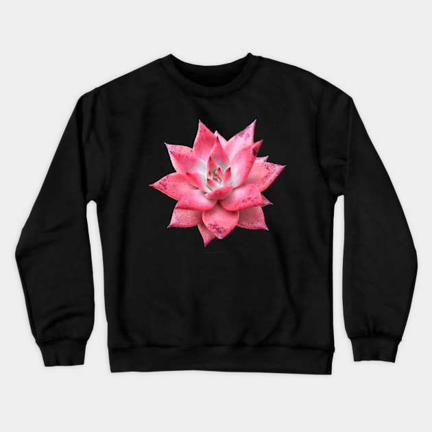 Suculenta Echeveria Taurus Crewneck Sweatshirt by NerdsbyLeo